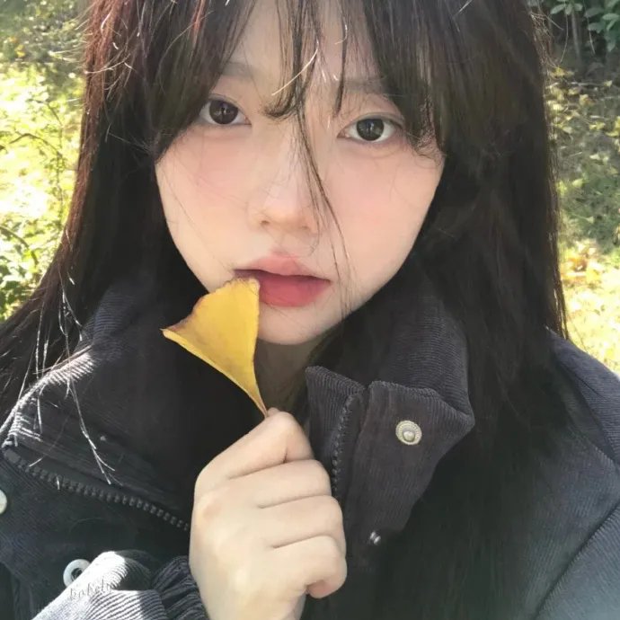 时间的桥梁